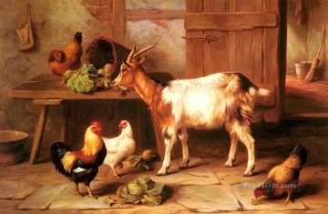  Cabra Pintura - Cabras y pollos alimentándose en una cabaña interior granero de ganado avícola Edgar Hunt